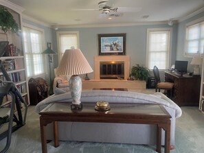 Smart TV, fireplace, books, music library