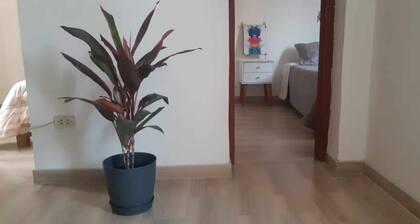 La Casa Hospedaje Está Ubicada en el Centro de la Ciudad,. Desde Aquí Podrá