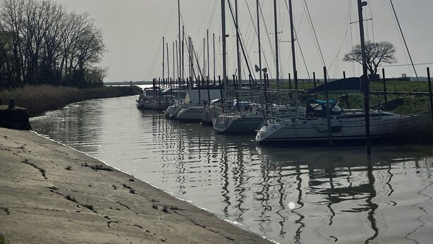 Un puerto deportivo con varios veleros amarrados a lo largo de una vía fluvial tranquila, rodeado de árboles y un cielo despejado.