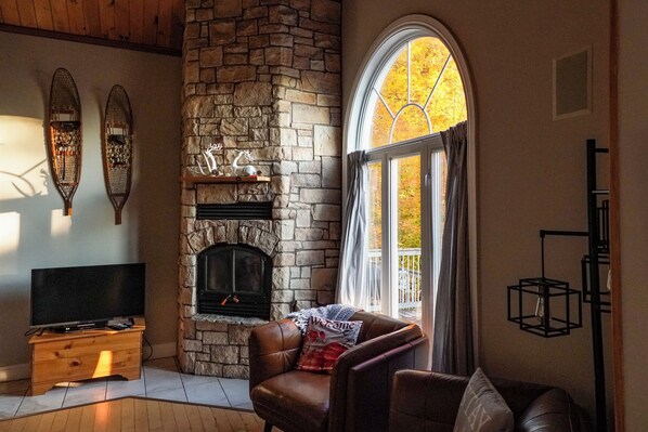 Télévision, cheminée