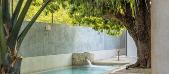 Spacious 1-floor House, Outdoor Oasis in Centro
