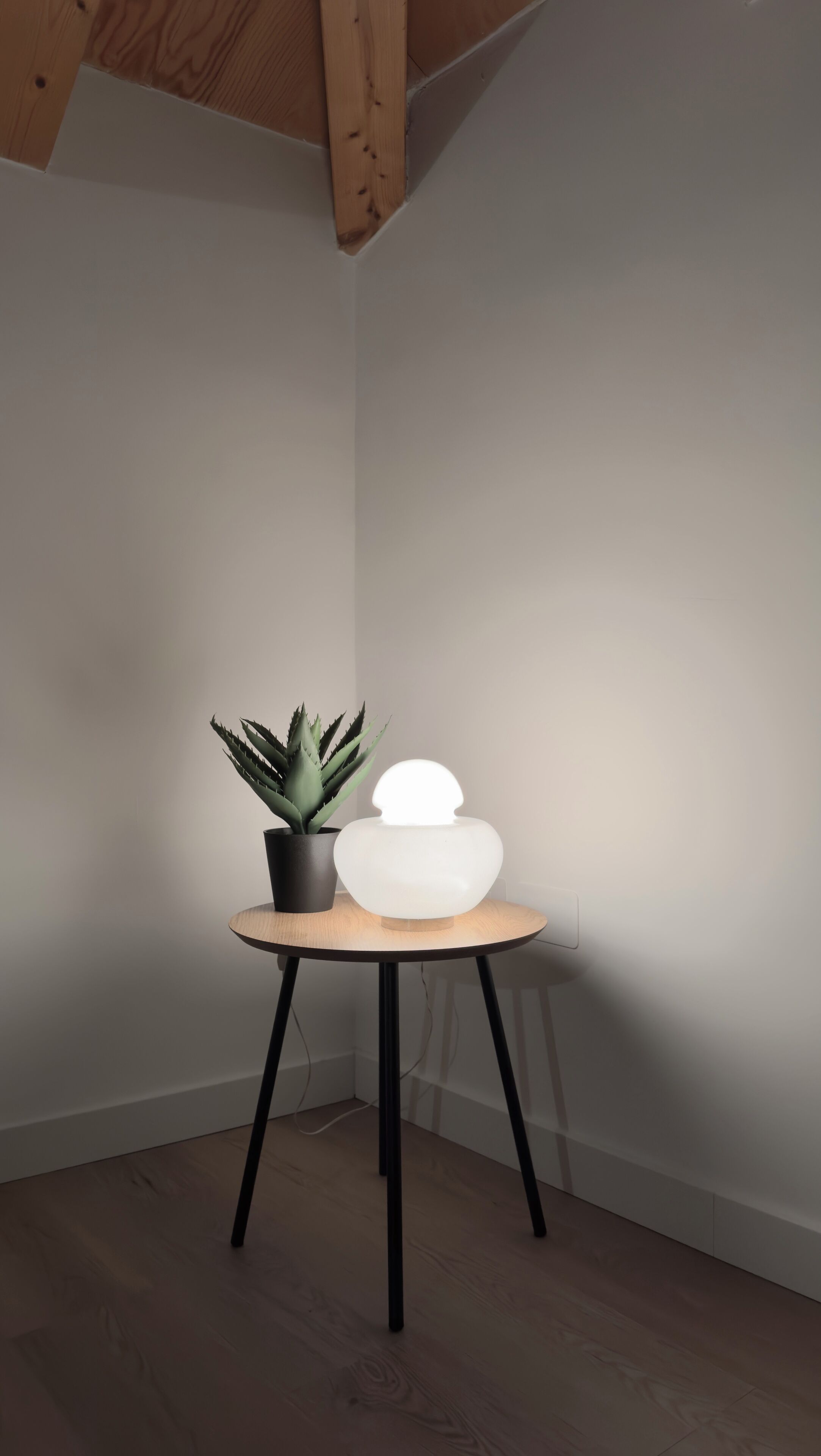 Une petite table en bois, sur laquelle se trouve un pot d’aloès et une lampe sphérique blanche.