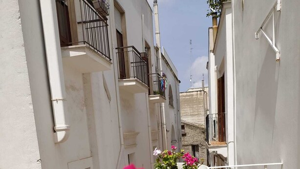 A narrow street with white buildings, balconies, and a potted plant with pink flowers in the foreground.