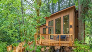 A wooden cabin with large windows, a deck, and a staircase leading up to it, surrounded by dense forest. - Tree House- Two bedroom plus loft- sustainable living! (Bellingham)