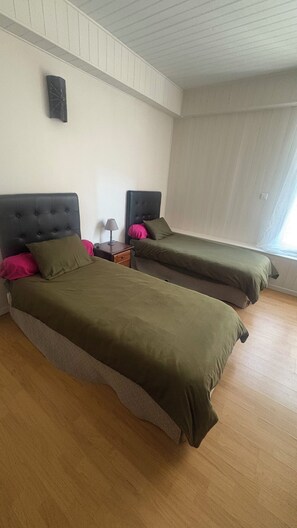 Basic Double or Twin Room | Free WiFi, bed sheets - Chambre D hôte Anzi (Arcis-sur-Aube)