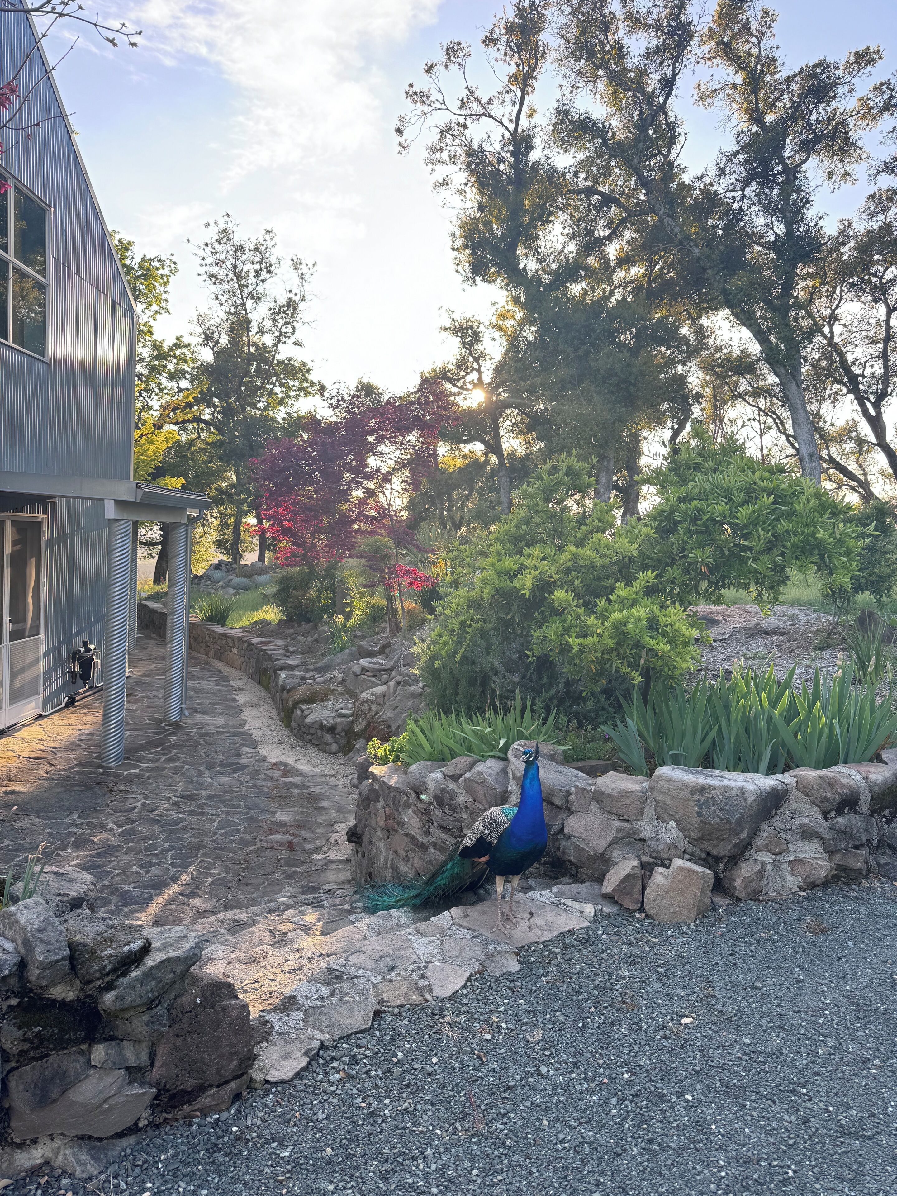 Enceinte de l’hébergement