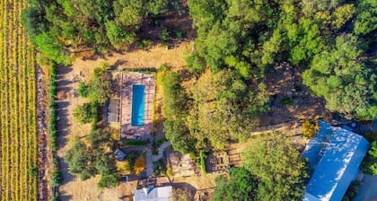 Private Gated Napa Mt Appellation 10 Acres Vineyard Views Absolute Serenity