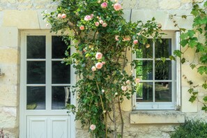 Detalle exterior