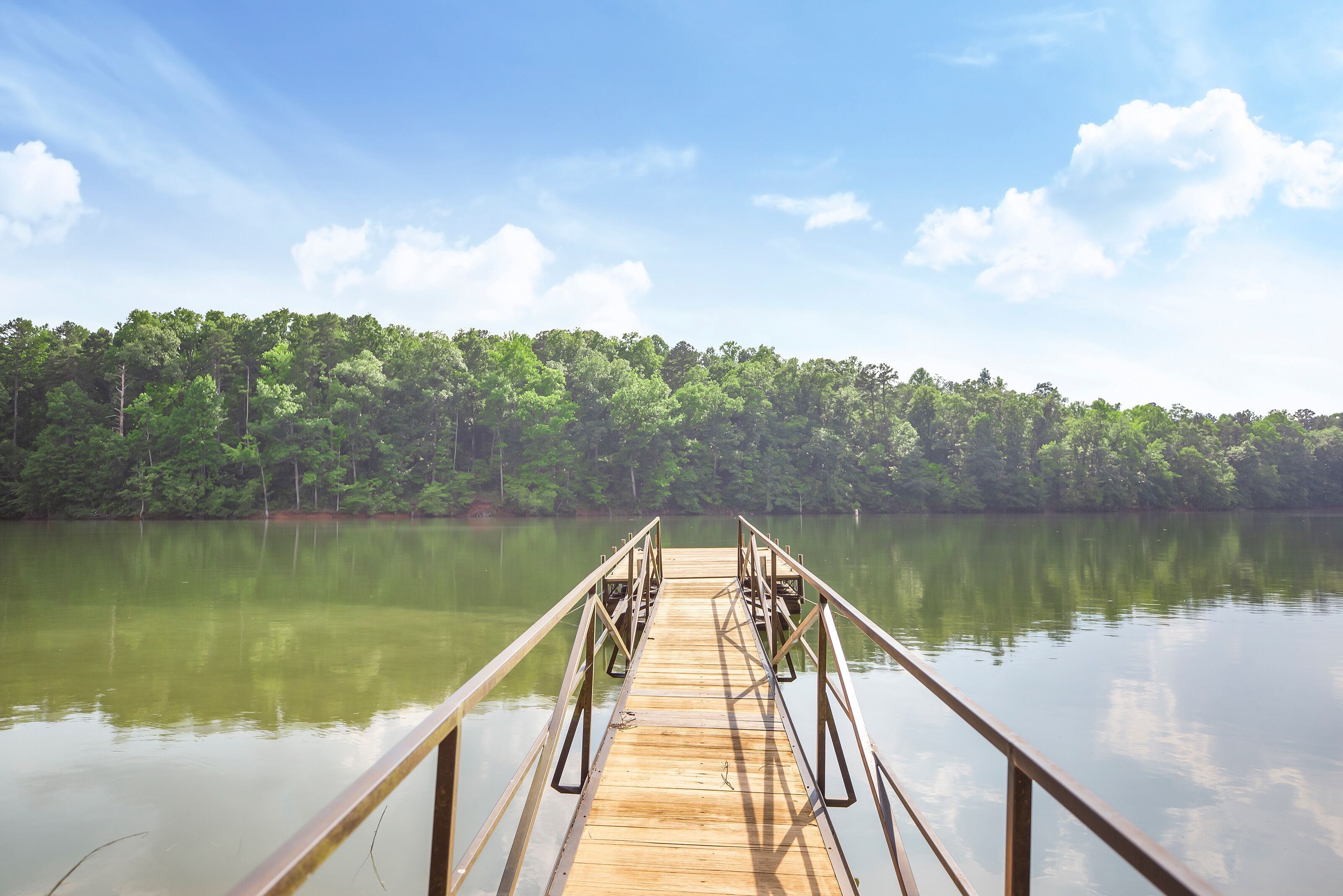 Lakefront Treehouse Retreat Minutes from Clemson University!