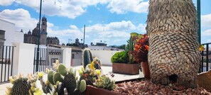 Property grounds - Palacio el Duende- Old Town- Pkg gratis- deluxe Apartment Sevillana (Jerez de la Frontera)