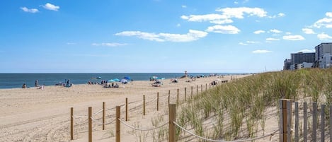 On the beach
