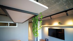 Un plafond orné d’une plante suspendue, d’un luminaire et d’une étagère fixée au mur, elle aussi agrémentée d’une plante.