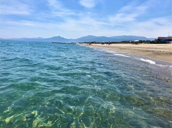 On the beach - Appartement Front de mer Avec Piscine et Accès Direct Plage à Saint Cyprien (Saint-Cyprien)