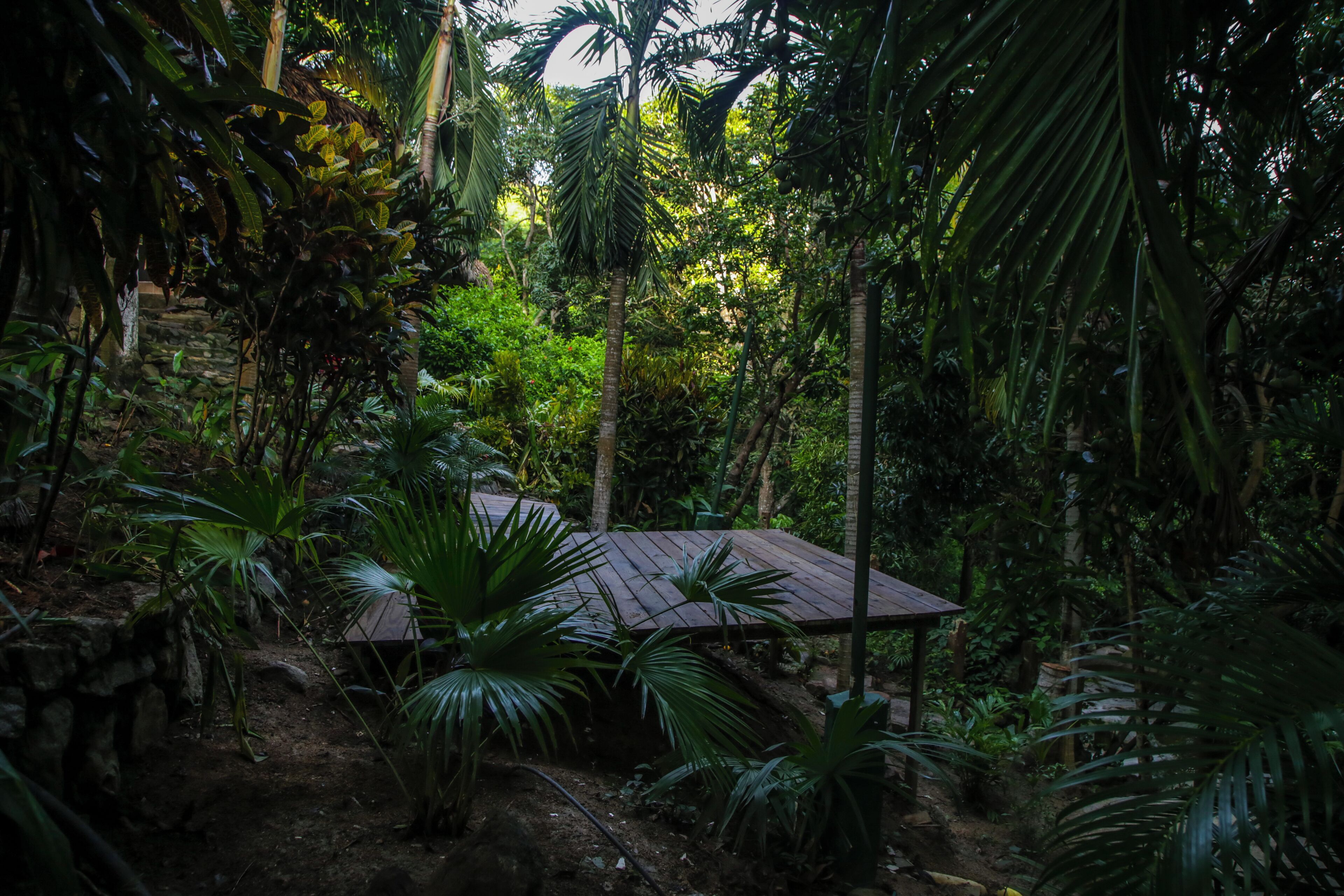 Foto - Nyia Boutique