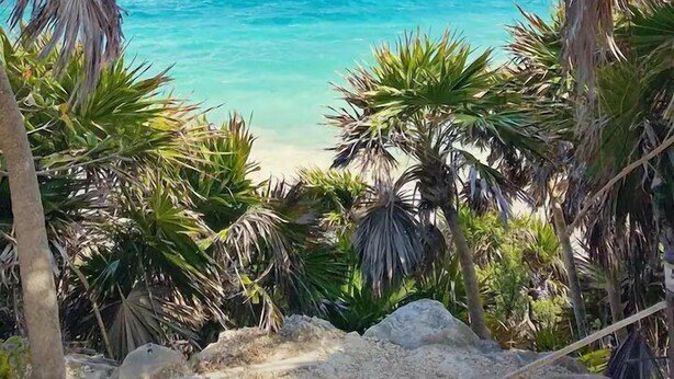 Vista de una playa con aguas turquesas cristalinas, palmeras y un barco a lo lejos.