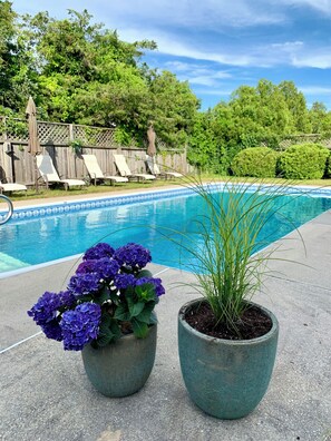 Pool - Mid island oasis with large pool and outdoor entertainment area. Pet friendly! (Nantucket)