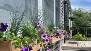 Caixa de plantação de madeira com flores roxas e folhagem verde em frente a uma parede de casa.