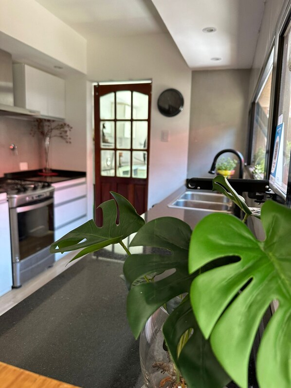 A modern kitchen with a large island, stainless steel appliances, and a view of the street outside. - Anas inn (Ezeiza)