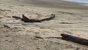 A beach with a large driftwood piece in the foreground and rough waves in the background. - L`escapade -The Getaway (Lincoln City)
