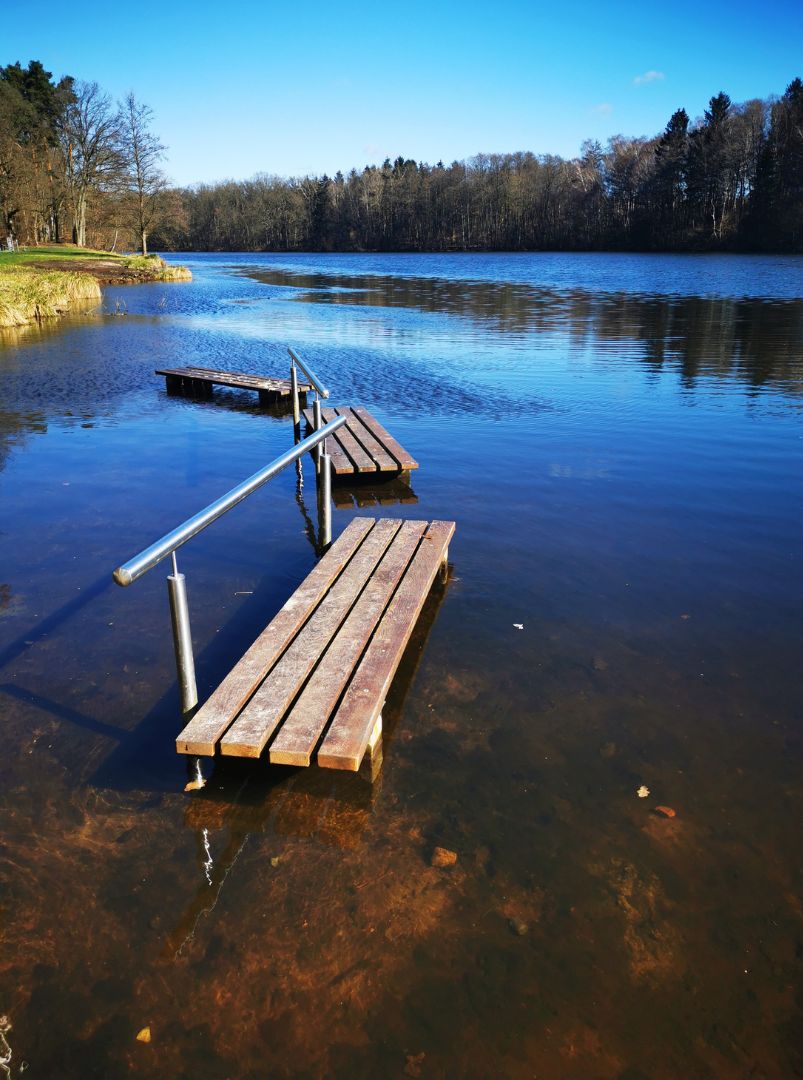 Un muelle de madera se adentra en un lago tranquilo, con barandilla de metal, rodeado de árboles.