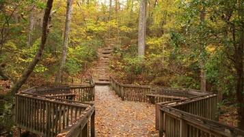 Enceinte de lâhĂ©bergement