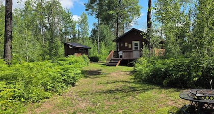 Cozy one room cabin and outhouse tucked in the woods with your own private site.