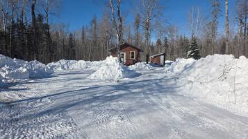 A snow-covered road leading to a cabin surrounded by trees.