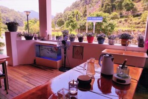 Una terraza de madera con un acuario, plantas en macetas, un ventilador, una cafetera y un lavabo.