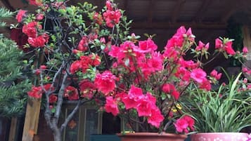 Jardines del alojamiento