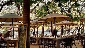 An outdoor dining area with tables and umbrellas, surrounded by trees and overlooking a body of water. - Casa Luna at Las Catalinas (Las Catalinas)