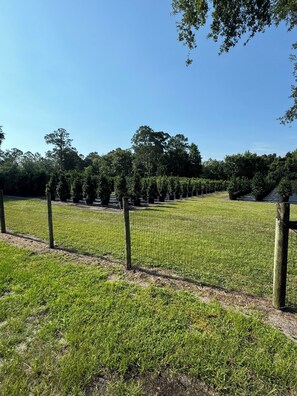 Property grounds - Private Farm With Beach (Pierson)