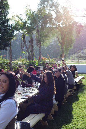 Vineyard