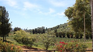 A rural landscape with a dirt path, trees, and flowering plants. - Casa Luna Viñedo (Valle de Guadalupe)
