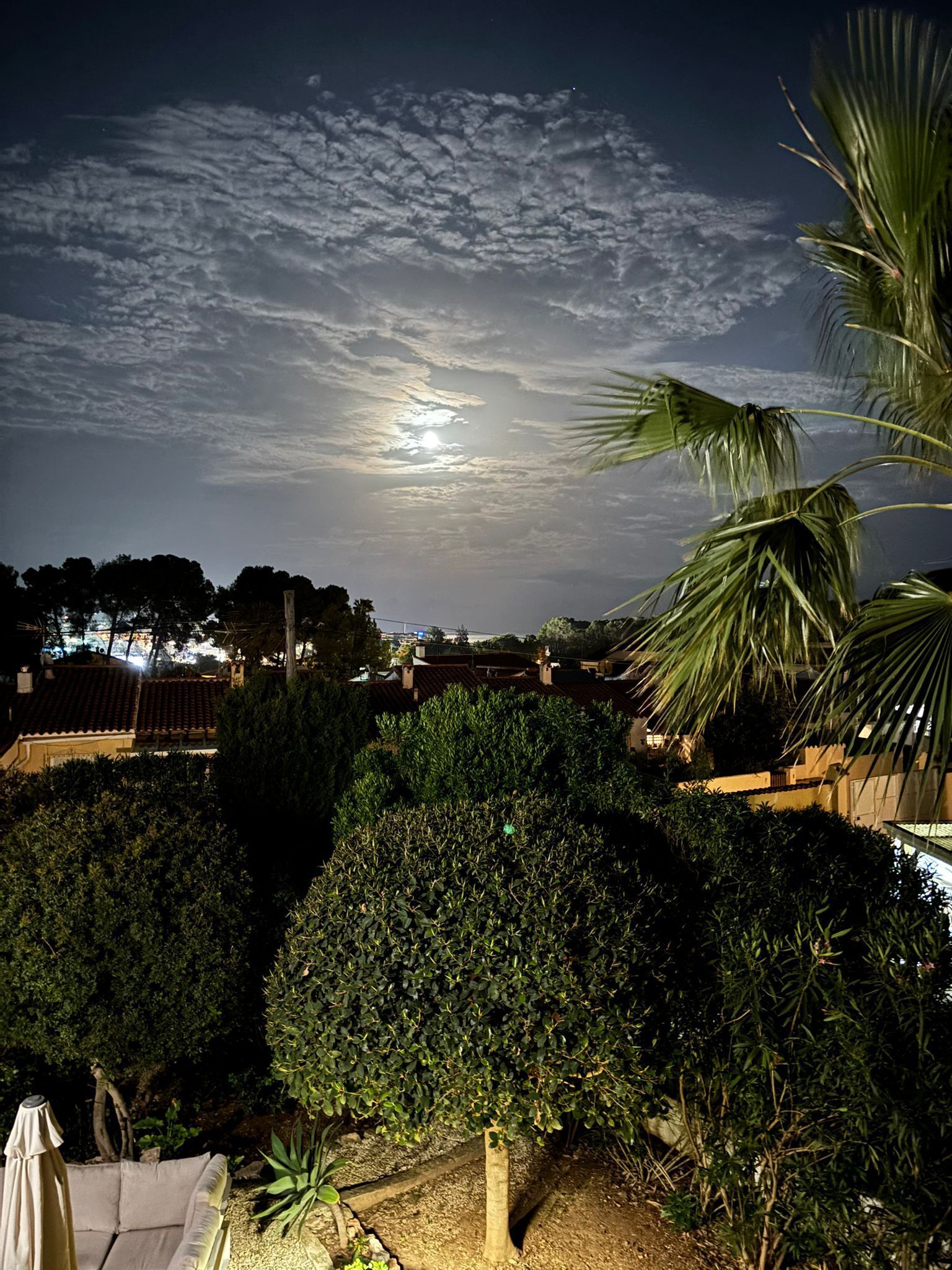 Vista nocturna de una zona residencial con un árbol destacado en primer plano, cielo despejado con nubes y edificios a lo lejos.