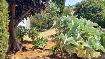 Overnatningsstedets område