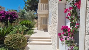 Steps lead up to the entrance of this Mediterranean-style building, surrounded by lush greenery and flowering plants.