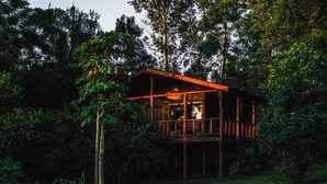 Una cabaña de madera rodeada por un bosque denso.