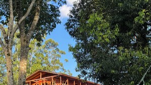 Un edificio de madera con balcón, rodeado de árboles y una hamaca.