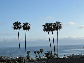 A coastal view with tall palm trees and a clear sky. - San Clemente Paradise (San Clemente)