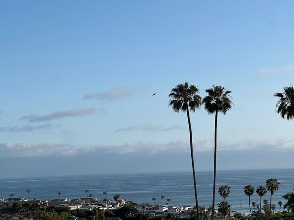 A coastal view with palm trees and a clear sky. - San Clemente Paradise (San Clemente)