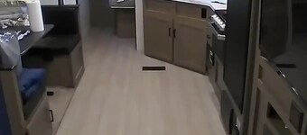 Valley Hideout! Travel trailer on a 10 acre farm