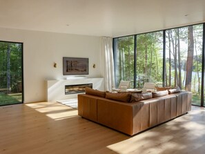 Televisión, chimenea, libros, estéreo