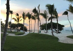 Enjoy a serene beachfront setting with palm trees, a well-maintained beach, and a clear path to the water.