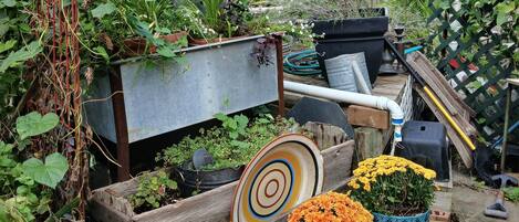 Àrea exterior de l'allotjament