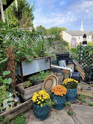 A cluttered garden area with various potted plants, a wooden bench, and a metal structure.