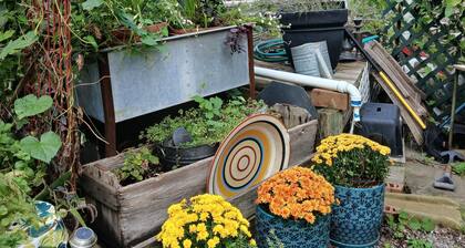 Hip, Hops, Historic District Home for 6, Downtown, Off St. Parking, Winter Fun!