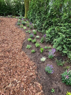 Property grounds - Noya Tinyhouse Veluwe Hoenderloo (Hoenderloo)