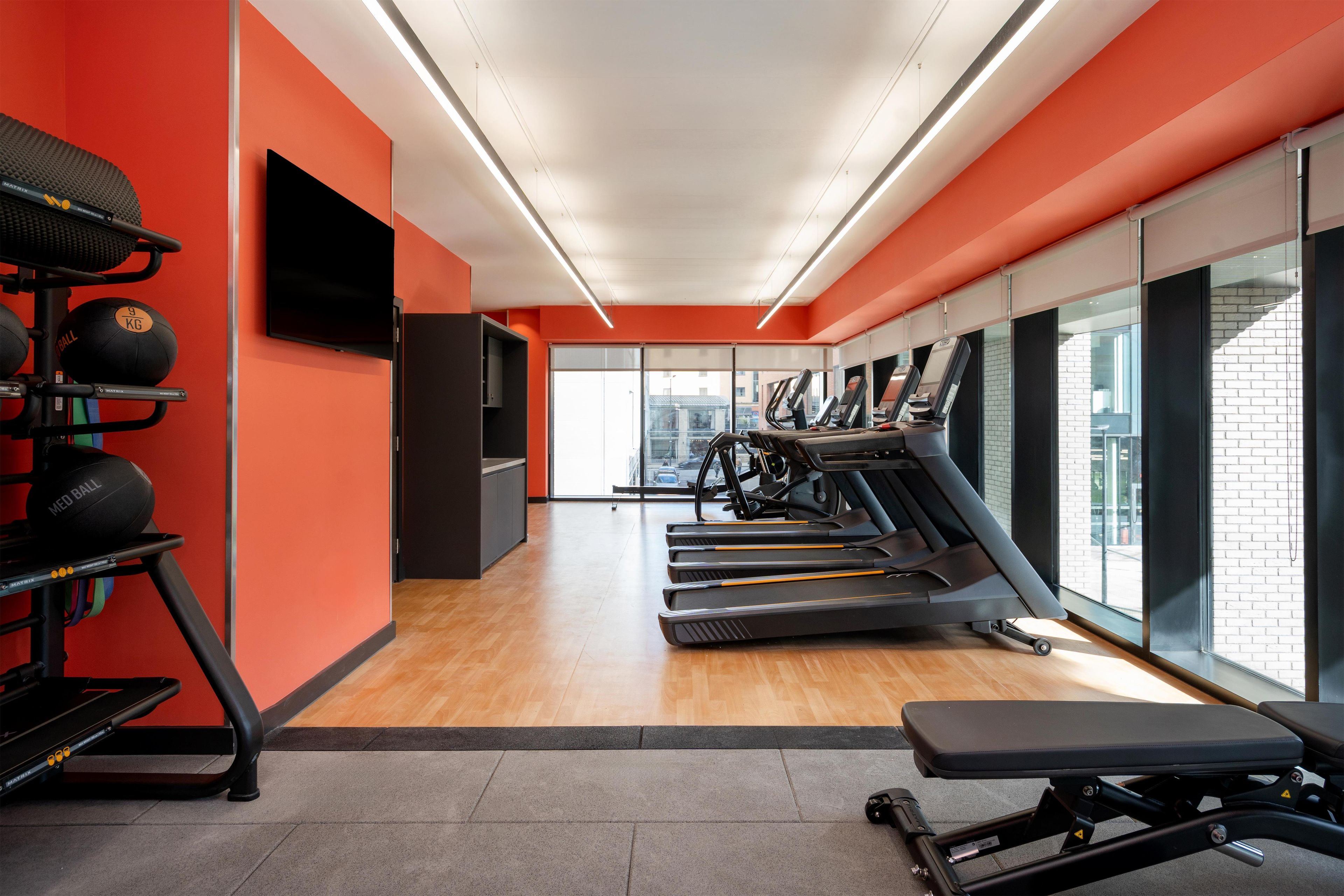 A gym with treadmills, a bench, and exercise balls.