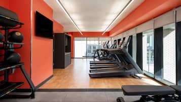 A gym with treadmills, a bench, and exercise balls.