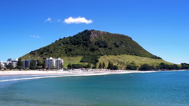 Un paisaje costero con una colina, playa y edificios.